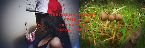 индика Гусиноозёрск