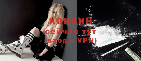 индика Гусиноозёрск