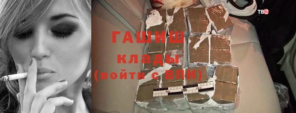 индика Гусиноозёрск