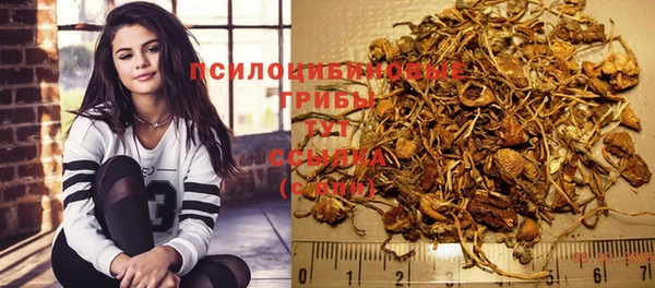 индика Гусиноозёрск