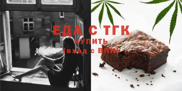 индика Гусиноозёрск