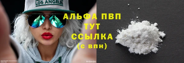индика Гусиноозёрск