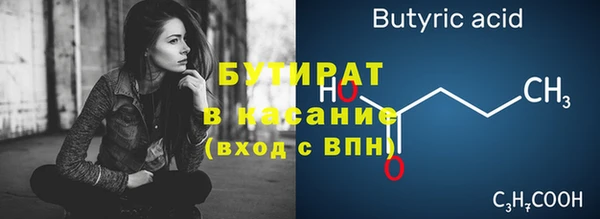 индика Гусиноозёрск