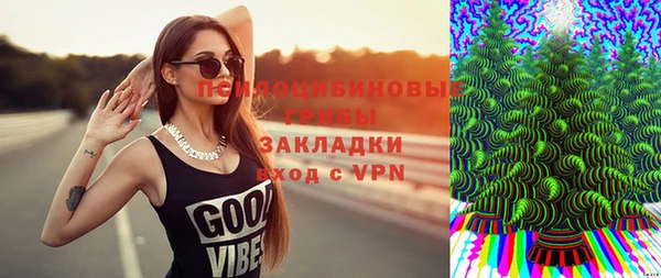 индика Гусиноозёрск