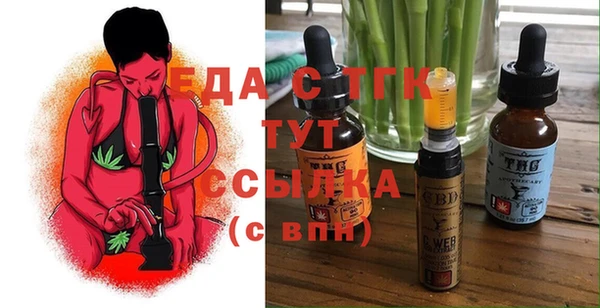 индика Гусиноозёрск
