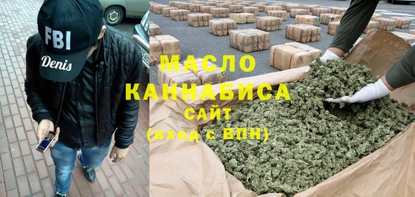 индика Гусиноозёрск