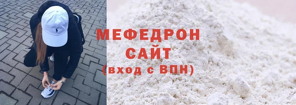 индика Гусиноозёрск