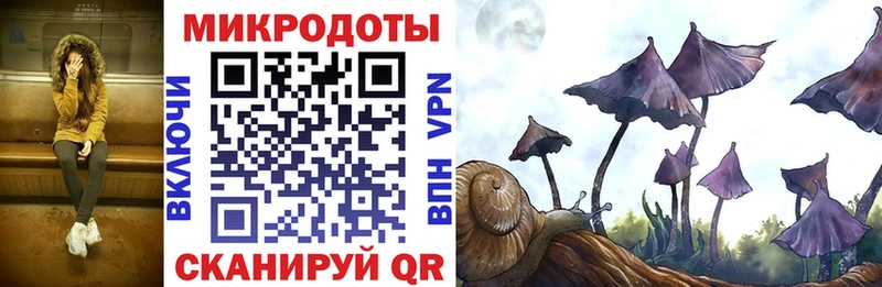 Псилоцибиновые грибы мицелий  Купить где  Клин 